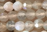 CTG1207 15.5 inches 4mm faceted round tiny rainbow moonstone beads