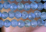 CTG1380 15.5 inches 2mm faceted round tiny apatite beads