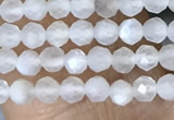 CTG1401 15.5 inches 2mm faceted round white moonstone beads wholesale