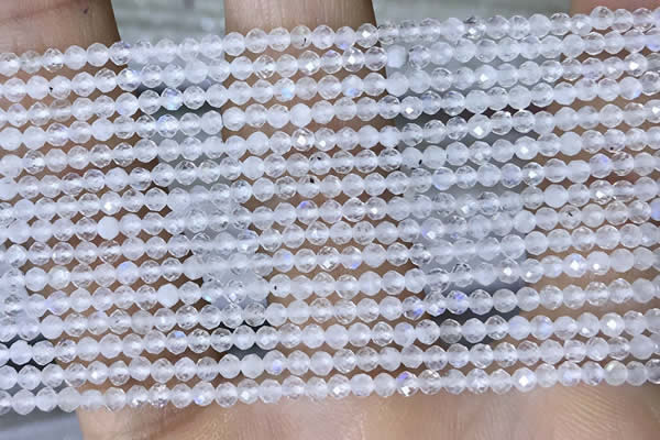 CTG1402 15.5 inches 2mm faceted round white moonstone beads wholesale