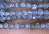 CTG1416 15.5 inches 2mm faceted round apatite beads wholesale