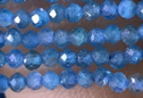 CTG1417 15.5 inches 2mm faceted round apatite beads wholesale