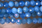 CTG1418 15.5 inches 2mm faceted round apatite beads wholesale