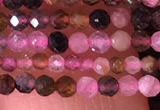 CTG1436 15.5 inches 2mm faceted round tourmaline beads wholesale