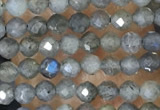 CTG1459 15.5 inches 2mm faceted round labradorite beads wholesale