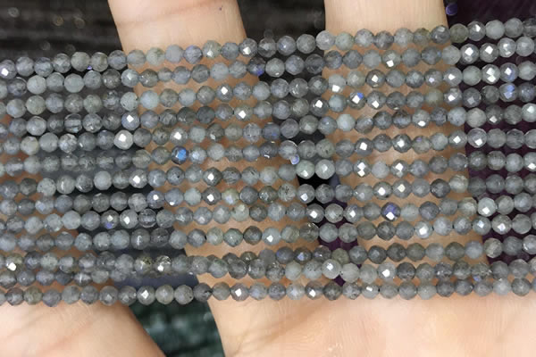 CTG1459 15.5 inches 2mm faceted round labradorite beads wholesale