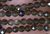 CTG1461 15.5 inches 2mm faceted round golden obsidian beads