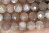 CTG1503 15.5 inches 3mm faceted round moonstone gemstone beads