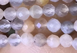 CTG1504 15.5 inches 3mm faceted round moonstone beads wholesale