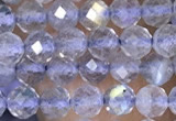 CTG1508 15.5 inches 3mm faceted round labradorite beads wholesale