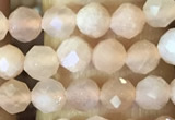 CTG1544 15.5 inches 4mm faceted round moonstone beads wholesale