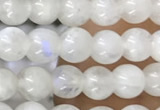 CTG1580 15.5 inches 4mm round white moonstone beads wholesale