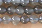 CTG1582 15.5 inches 4mm round grey moonstone beads wholesale