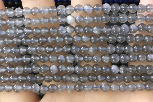 CTG1582 15.5 inches 4mm round grey moonstone beads wholesale