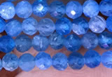 CTG1613 15.5 inches 3mm faceted round tiny apatite beads