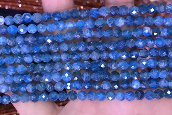 CTG1616 15.5 inches 5mm faceted round tiny apatite beads