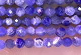 CTG1665 15.5 inches 2mm faceted round tiny sodalite beads