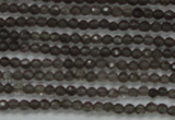 CTG200 15.5 inches 2mm faceted round tiny smoky quartz beads