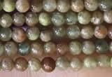 CTG2045 15 inches 2mm,3mm China unakite beads