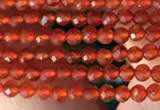 CTG2121 15 inches 2mm,3mm faceted round red agate gemstone beads