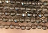 CTG2124 15 inches 2mm,3mm faceted round smoky quartz gemstone beads