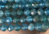 CTG2130 15 inches 2mm,3mm faceted round apatite gemstone beads