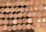 CTG2138 15 inches 2mm,3mm faceted round sunstone gemstone beads