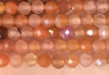 CTG2142 15 inches 2mm,3mm faceted round golden sunstone beads