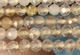 CTG2143 15 inches 2mm,3mm faceted round golden rutilated quartz beads