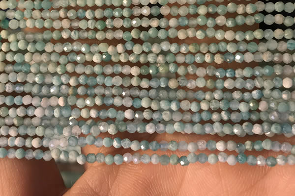 CTG2154 15 inches 2mm,3mm faceted round amazonite gemstone beads