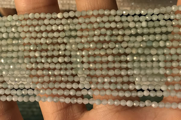 CTG2155 15 inches 2mm,3mm faceted round amazonite gemstone beads