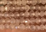 CTG2156 15 inches 2mm,3mm faceted round white moonstone beads