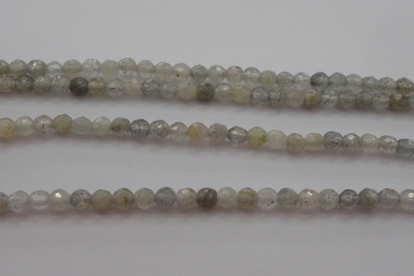 CTG217 15.5 inches 3mm faceted round tiny labradorite beads