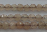 CTG218 15.5 inches 3mm faceted round tiny moonstone beads