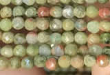 CTG2214 15 inches 2mm,3mm faceted round unakite gemstone beads