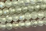 CTG2246 15 inches 2mm faceted round natural prehnite beads