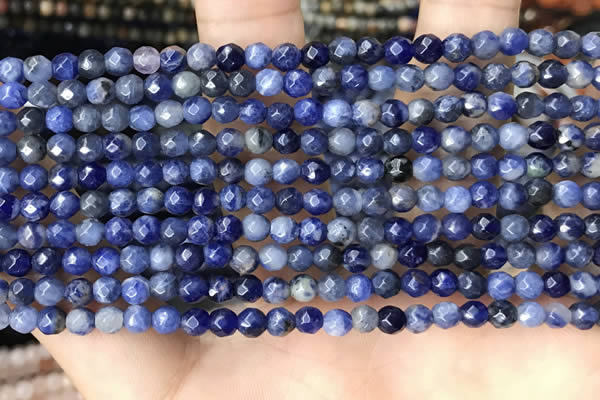 CTG3573 15.5 inches 4mm faceted round sodalite beads wholesale