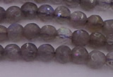 CTG509 15.5 inches 4mm faceted round tiny labradorite beads