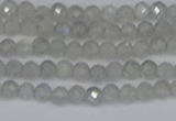 CTG613 15.5 inches 3mm faceted round labradorite beads