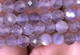 CTG703 15.5 inches 5mm faceted round tiny labradorite beads