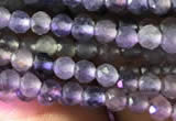 CTG751 15.5 inches 3mm faceted round tiny iolite beads wholesale