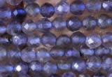 CTG753 15.5 inches 2mm faceted round tiny iolite gemstone beads