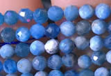 CTG760 15.5 inches 3mm faceted round tiny apatite gemstone beads