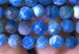 CTG762 15.5 inches 5mm faceted round tiny apatite gemstone beads