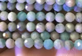 CTG774 15.5 inches 2mm faceted round tiny amazonite beads wholesale