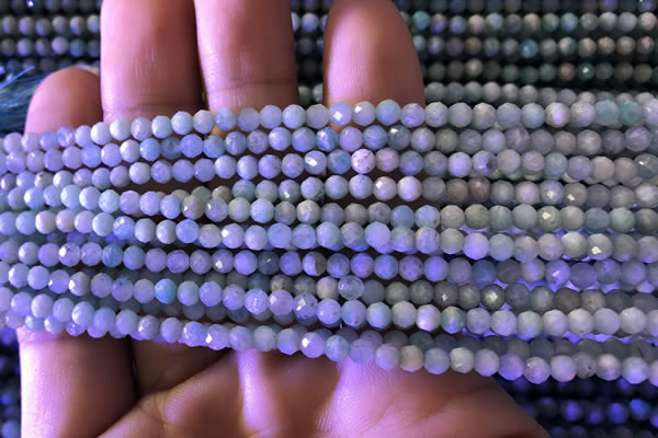 CTG775 15.5 inches 3mm faceted round tiny amazonite beads wholesale