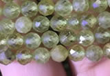 CTG814 15.5 inches 5mm faceted round tiny prehnite beads