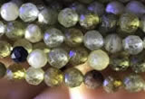 CTG818 15.5 inches 3mm faceted round tiny green garnet beads