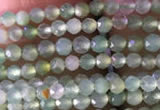 CTG821 15.5 inches 2mm faceted round tiny Australia chrysoprase beads