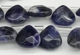 CTR613 Top drilled 10*10mm faceted briolette sodalite beads